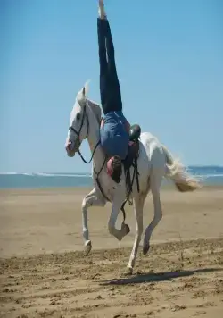 В равновесии (2014) через торрент скачать В равновесии (2014) фильм через торрент скачать