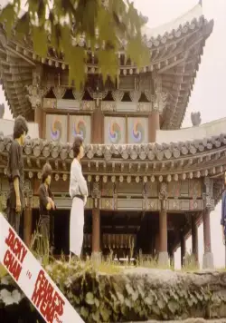 Бесстрашная гиена 2 (1980) в хорошем качестве через торрент Бесстрашная гиена 2 (1980) фильм в хорошем качестве через торрент