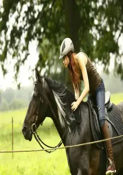 Восточный ветер (2013) через торрент скачать Восточный ветер (2013) фильм через торрент скачать