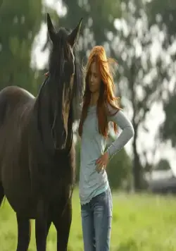 Восточный ветер (2013) в хорошем качестве через торрент Восточный ветер (2013) фильм в хорошем качестве через торрент