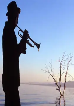 Море Солтона (2001) через торрент бесплатно Море Солтона (2001) фильм через торрент бесплатно