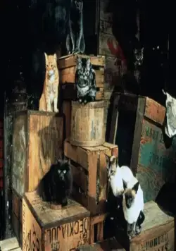 Стюарт Литтл (1999) через торрент бесплатно Стюарт Литтл (1999) фильм через торрент бесплатно