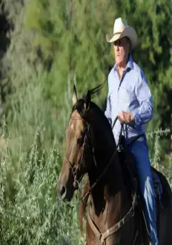 Дикие лошади (2014) через торрент скачать Дикие лошади (2014) фильм через торрент скачать