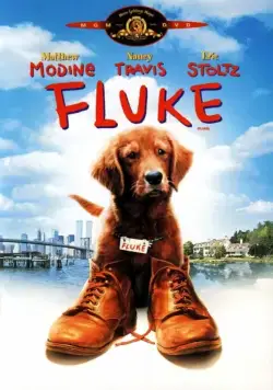 Флюк / Fluke (1995) фильм скачать через торрент в хорошем качестве