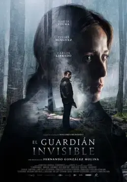 Невидимый страж / The Invisible Guardian (2017) фильм скачать через торрент в хорошем качестве
