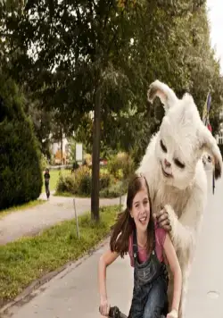 Йоко (2012) через торрент скачать Йоко (2012) фильм через торрент скачать