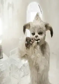 Йоко (2012) в хорошем качестве через торрент Йоко (2012) фильм в хорошем качестве через торрент