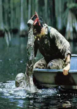 Болотная тварь (1981) в хорошем качестве через торрент Болотная тварь (1981) фильм в хорошем качестве через торрент