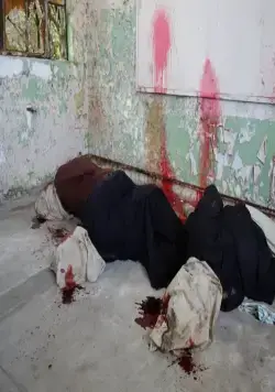 Враждебные вороны (2016) через торрент скачать Враждебные вороны (2016) фильм через торрент скачать