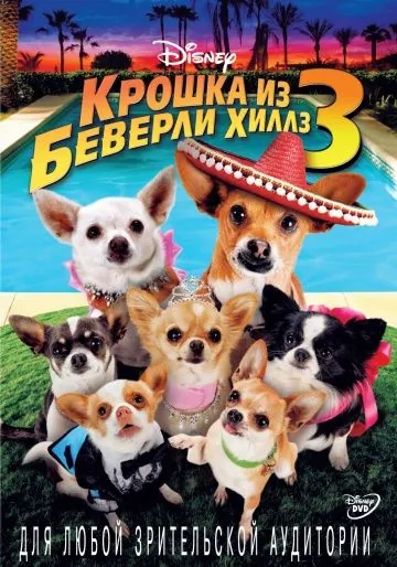 Крошка из Беверли-Хиллз 3 / Beverly Hills Chihuahua 3: Viva La Fiesta! (2012) фильм скачать через торрент в хорошем качестве
