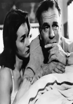 Комедиант (1960) в хорошем качестве через торрент Комедиант (1960) фильм в хорошем качестве через торрент