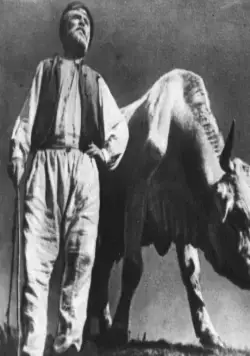 Земля (1930) через торрент скачать Земля (1930) фильм через торрент скачать