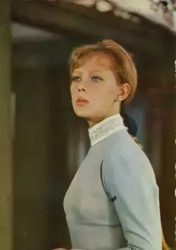 Чайка (1970) через торрент скачать Чайка (1970) фильм через торрент скачать