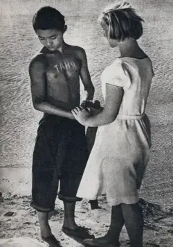 Дикая собака динго (1962) через торрент скачать Дикая собака динго (1962) фильм через торрент скачать