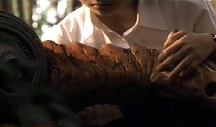 Гамера 3: Месть Ирис (1999) через торрент скачать Гамера 3: Месть Ирис (1999) фильм через торрент скачать