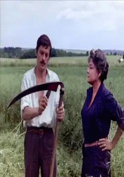 Вдова Кудер (1971) в хорошем качестве через торрент Вдова Кудер (1971) фильм в хорошем качестве через торрент