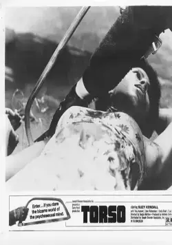 Торсо (1973) через торрент скачать Торсо (1973) фильм через торрент скачать