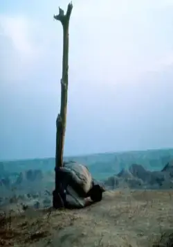 Королева бандитов (1994) в хорошем качестве через торрент Королева бандитов (1994) фильм в хорошем качестве через торрент