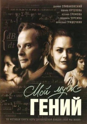Мой муж – гений (2008) фильм скачать через торрент в хорошем качестве