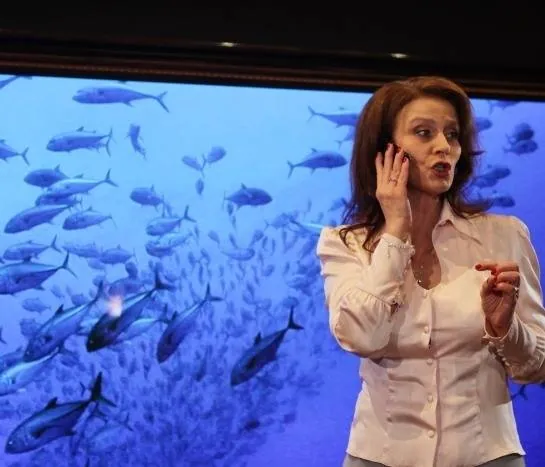 Карусель (2010) через торрент бесплатно Карусель (2010) фильм через торрент бесплатно