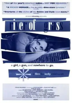 Болотистая река / River of Grass (1994) фильм скачать через торрент в хорошем качестве