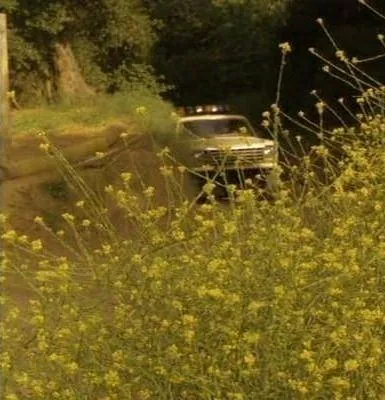 Класс 1999: Новый учитель (1994) через торрент скачать Класс 1999: Новый учитель (1994) фильм через торрент скачать