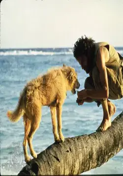 Крузо (1988) в хорошем качестве через торрент Крузо (1988) фильм в хорошем качестве через торрент