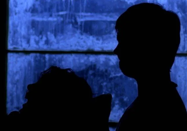 Ущелье Доннера (2011) через торрент скачать Ущелье Доннера (2011) фильм через торрент скачать