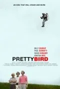 Пташка / Pretty Bird (2008) фильм скачать через торрент в хорошем качестве