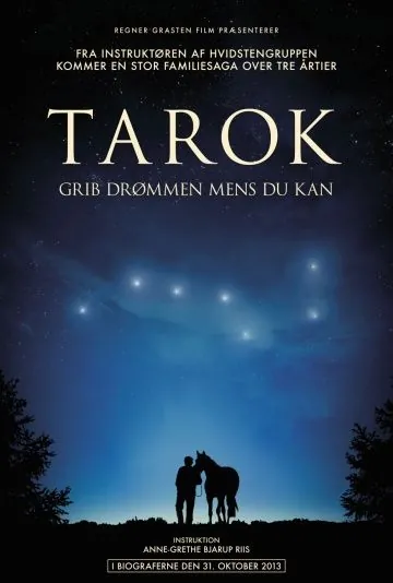 Поймать мечту / Tarok (2013) фильм скачать через торрент в хорошем качестве