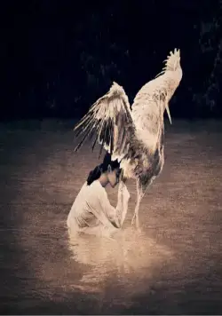 Пепел и снег (2005) в хорошем качестве через торрент Пепел и снег (2005) фильм в хорошем качестве через торрент