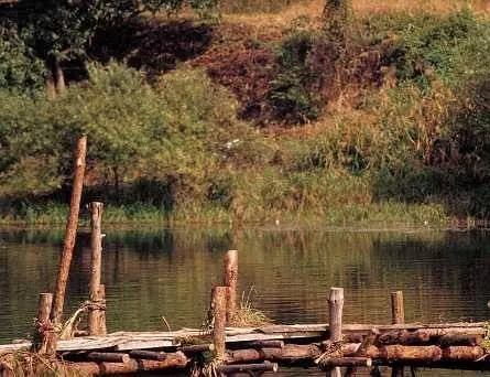 Сочувствие господину Месть (2002) через торрент бесплатно Сочувствие господину Месть (2002) фильм через торрент бесплатно