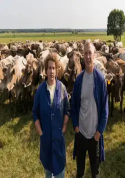 Жуки (2019) через торрент бесплатно Жуки (2019) сериал через торрент бесплатно