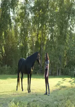 Флика 3 (2012) в хорошем качестве через торрент Флика 3 (2012) фильм в хорошем качестве через торрент