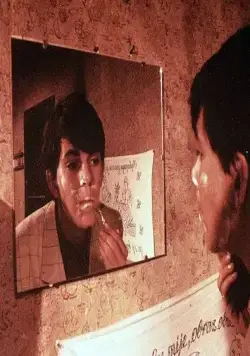 Помнишь ли, Долли Белл? (1981) через торрент скачать Помнишь ли, Долли Белл? (1981) фильм через торрент скачать