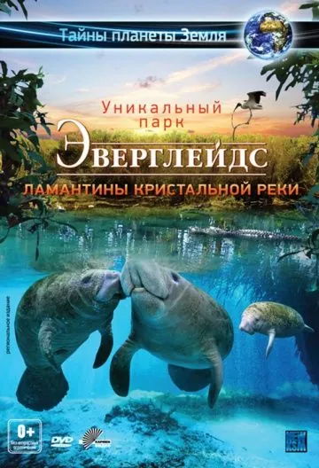 Эверглейдс 3D: Ламантины Кристальной реки / Adventure Everglades 3D: The Manatees of Crystal River (2012) фильм скачать через торрент в хорошем качестве
