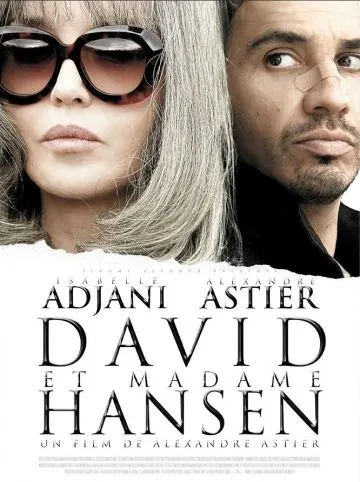 Давид и мадам Ансен / David et Madame Hansen (2012) фильм скачать через торрент в хорошем качестве
