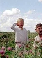 Время жатвы (2004) в хорошем качестве через торрент Время жатвы (2004) фильм в хорошем качестве через торрент