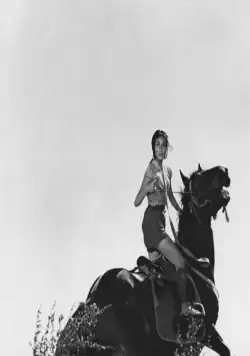 Трое негодяев в скрытой крепости (1958) через торрент скачать Трое негодяев в скрытой крепости (1958) фильм через торрент скачать