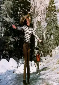 Закон выжившего (1967) в хорошем качестве через торрент Закон выжившего (1967) фильм в хорошем качестве через торрент