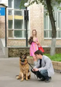 Лорд. Пёс-полицейский (2012) через торрент бесплатно Лорд. Пёс-полицейский (2012) сериал через торрент бесплатно