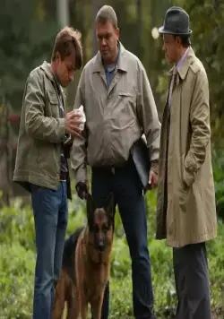 Лорд. Пёс-полицейский (2012) в хорошем качестве через торрент Лорд. Пёс-полицейский (2012) сериал в хорошем качестве через торрент