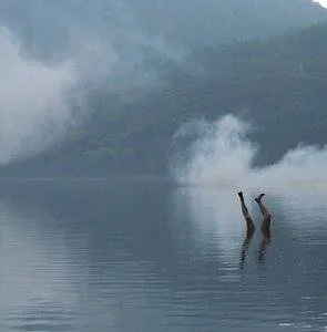 Убийца клана Инугами (2006) через торрент бесплатно Убийца клана Инугами (2006) фильм через торрент бесплатно