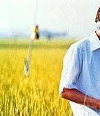 Все о Лили Чоу-Чоу (2001) через торрент скачать Все о Лили Чоу-Чоу (2001) фильм через торрент скачать