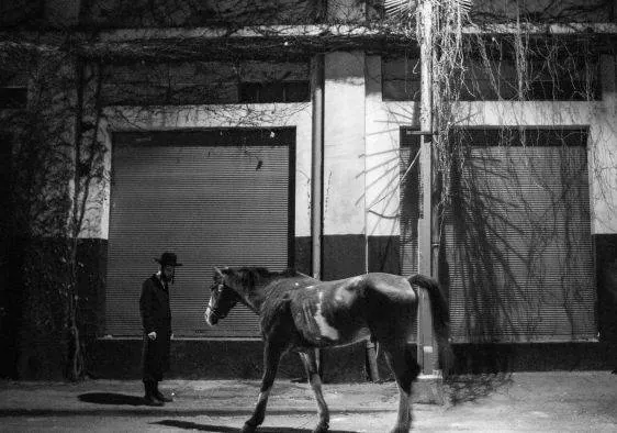 Тиккун (2015) в хорошем качестве через торрент Тиккун (2015) фильм в хорошем качестве через торрент