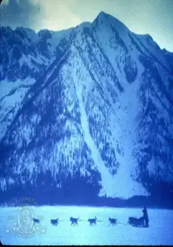 Зов предков (1972) в хорошем качестве через торрент Зов предков (1972) фильм в хорошем качестве через торрент