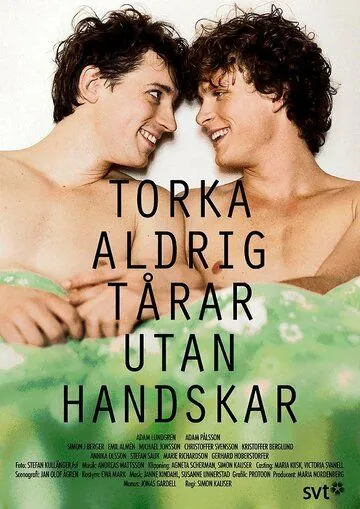 Никогда не вытирайте слезы без перчаток / Torka aldrig tårar utan handskar (2012) сериал скачать через торрент в хорошем качестве
