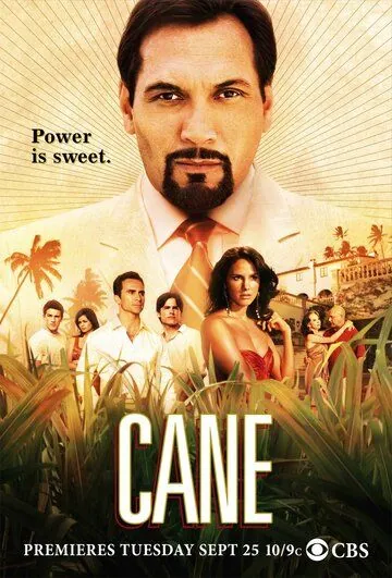 Плантация / Cane (2007) сериал скачать через торрент в хорошем качестве