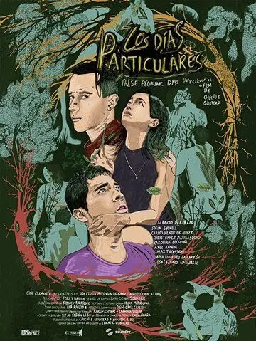 Los días particulares (2019) фильм скачать через торрент в хорошем качестве