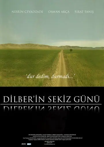 Скачать Восемь дней Дилбер / Dilber'in sekiz günü (2008) фильм через торрент на русском